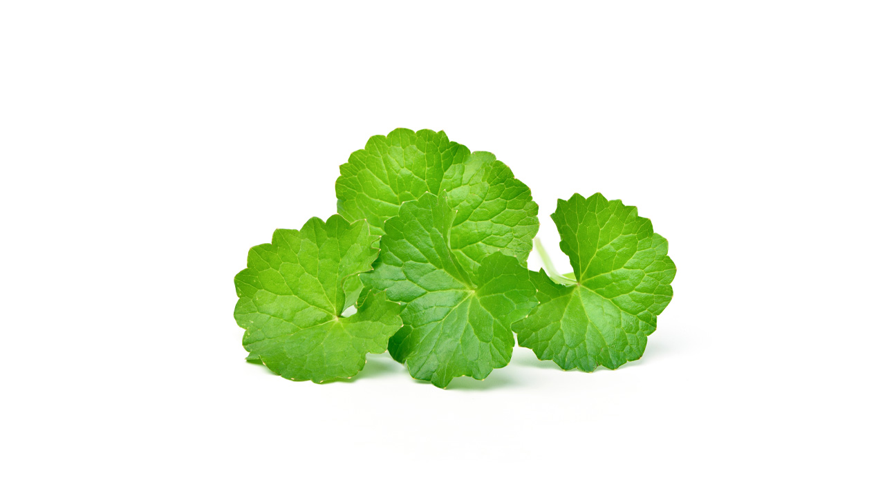 Centella